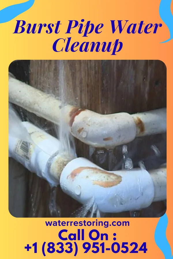 Burst Pipe Water Cleanup in Donalsonville, GA