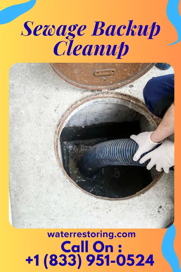 Sewage Backup Cleanup in Donalsonville, GA