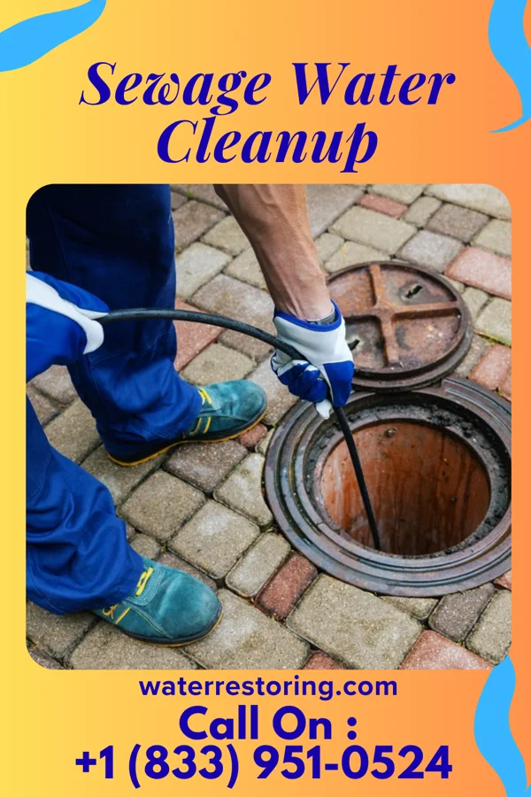 Sewage Water Cleanup in Donalsonville, GA